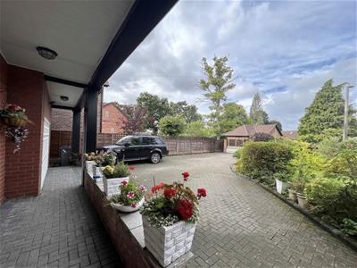 Picture 21